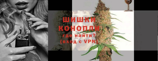 гидра Верхний Тагил