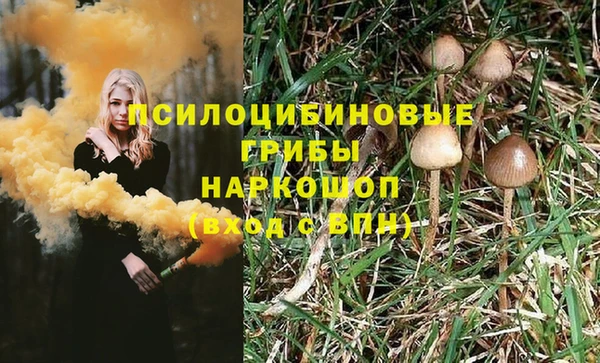 гидра Верхний Тагил