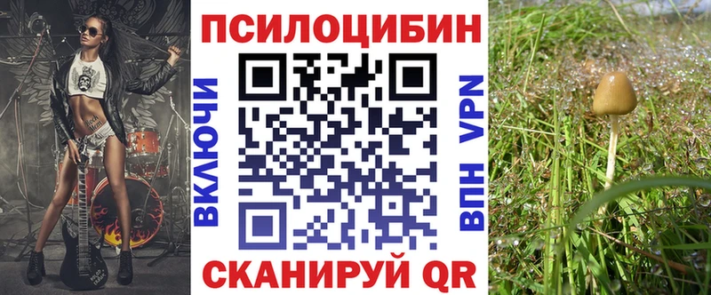 Галлюциногенные грибы Cubensis Искитим