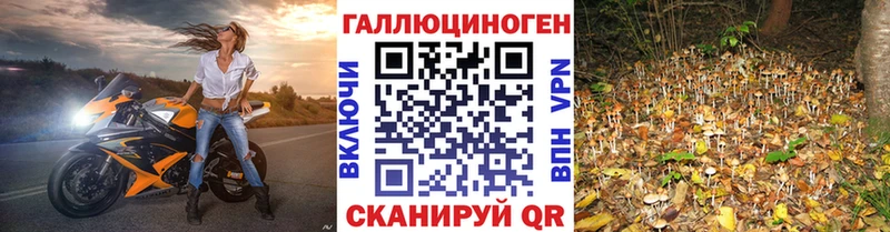 Псилоцибиновые грибы прущие грибы  кракен как войти  Искитим 
